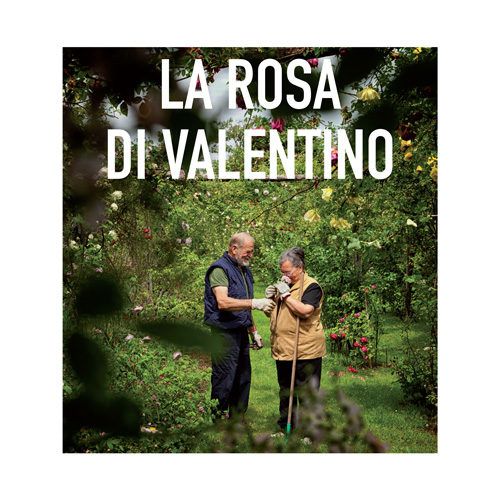 DVD La Rosa di Valentino