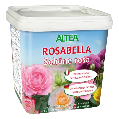 Rosabella