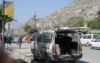 Kabul arrivo rose