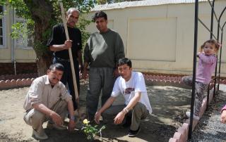 Kabul arrivo rose