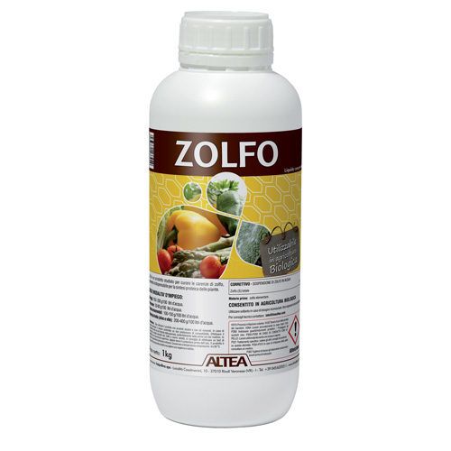 Altea Zolfo
